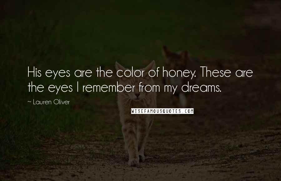 Lauren Oliver Quotes: His eyes are the color of honey. These are the eyes I remember from my dreams.