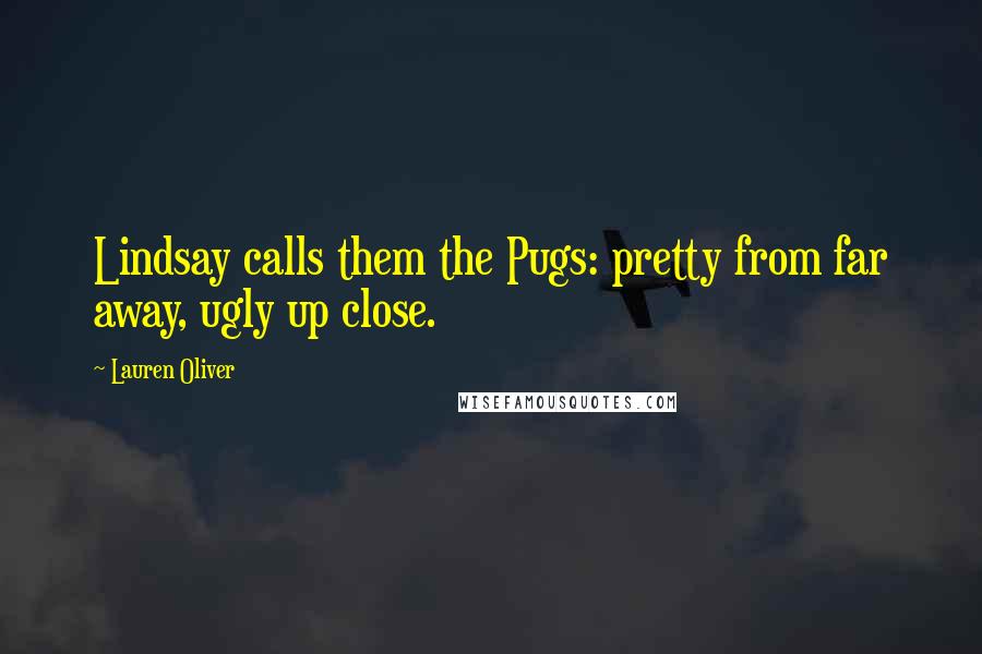 Lauren Oliver Quotes: Lindsay calls them the Pugs: pretty from far away, ugly up close.