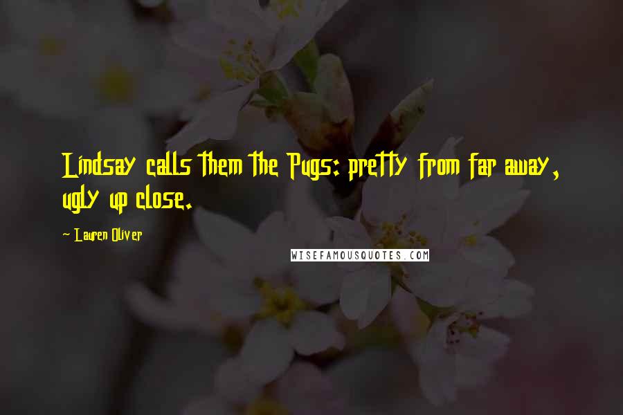 Lauren Oliver Quotes: Lindsay calls them the Pugs: pretty from far away, ugly up close.