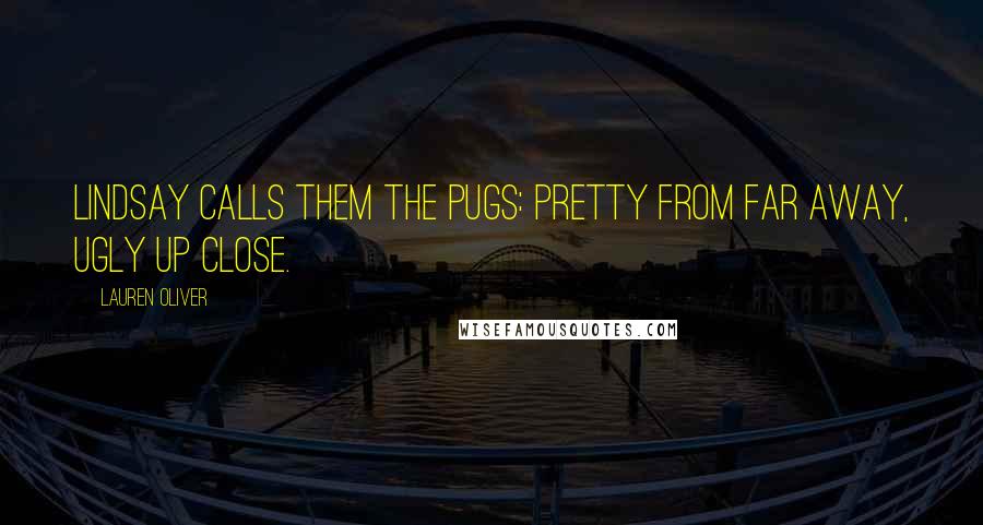 Lauren Oliver Quotes: Lindsay calls them the Pugs: pretty from far away, ugly up close.