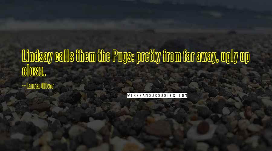 Lauren Oliver Quotes: Lindsay calls them the Pugs: pretty from far away, ugly up close.