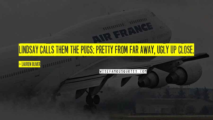 Lauren Oliver Quotes: Lindsay calls them the Pugs: pretty from far away, ugly up close.