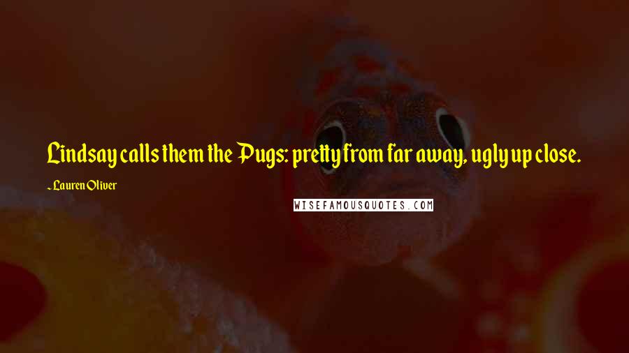 Lauren Oliver Quotes: Lindsay calls them the Pugs: pretty from far away, ugly up close.