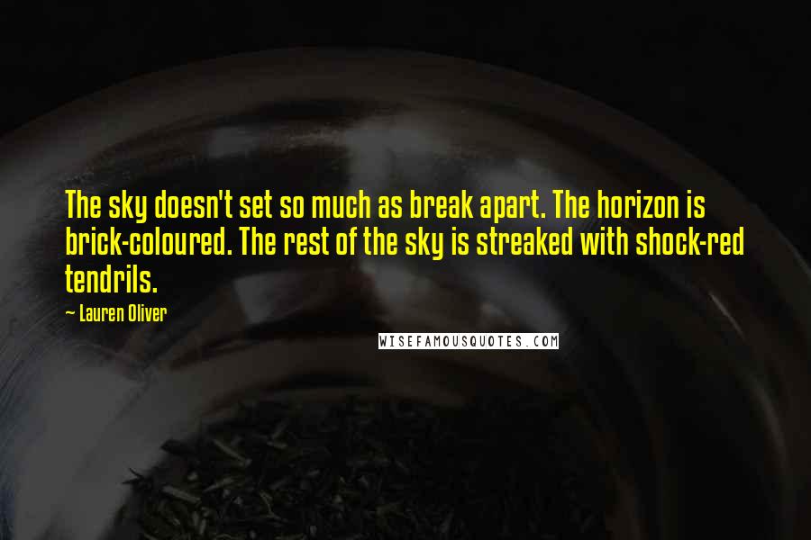 Lauren Oliver Quotes: The sky doesn't set so much as break apart. The horizon is brick-coloured. The rest of the sky is streaked with shock-red tendrils.