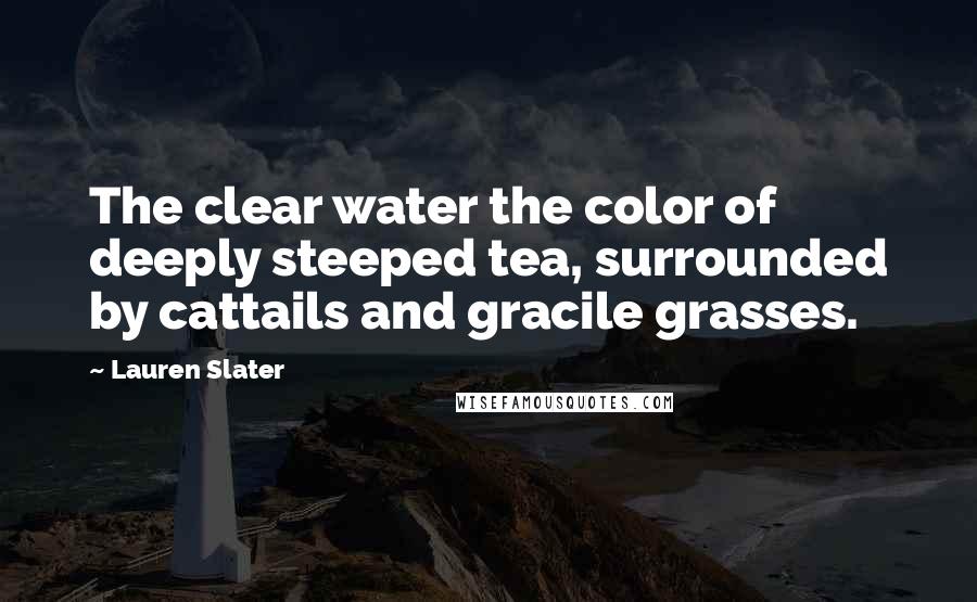 Lauren Slater Quotes: The clear water the color of deeply steeped tea, surrounded by cattails and gracile grasses.