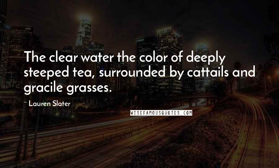 Lauren Slater Quotes: The clear water the color of deeply steeped tea, surrounded by cattails and gracile grasses.