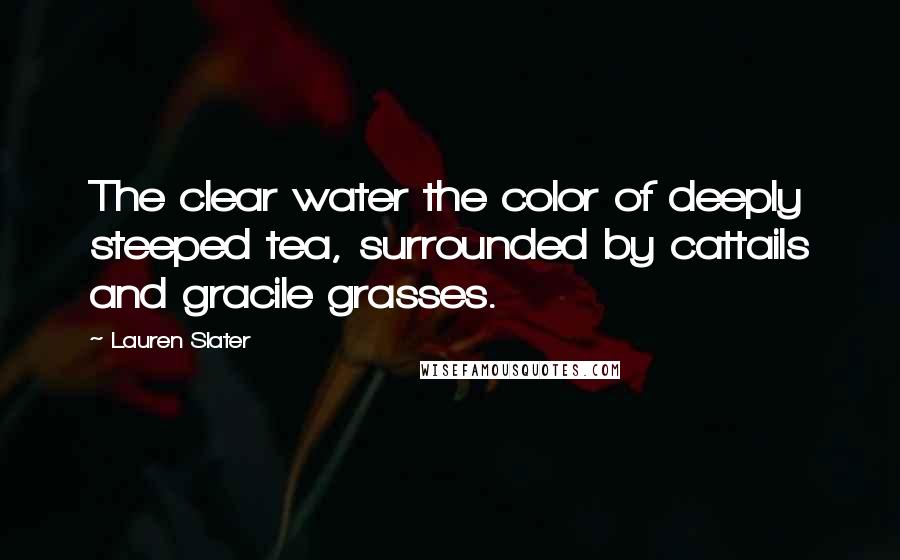 Lauren Slater Quotes: The clear water the color of deeply steeped tea, surrounded by cattails and gracile grasses.