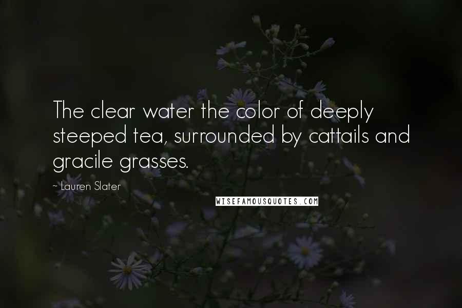 Lauren Slater Quotes: The clear water the color of deeply steeped tea, surrounded by cattails and gracile grasses.