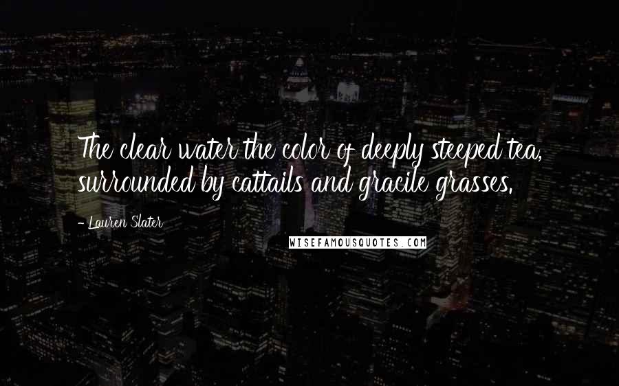 Lauren Slater Quotes: The clear water the color of deeply steeped tea, surrounded by cattails and gracile grasses.
