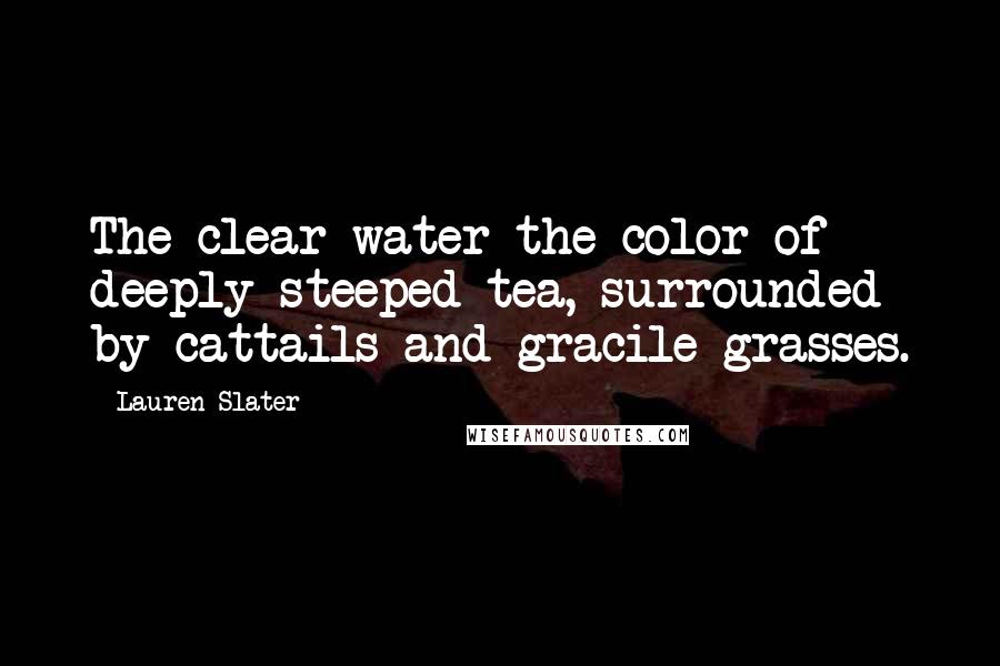 Lauren Slater Quotes: The clear water the color of deeply steeped tea, surrounded by cattails and gracile grasses.