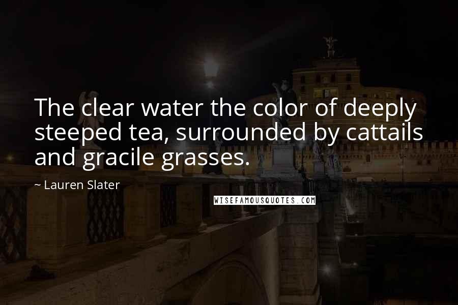 Lauren Slater Quotes: The clear water the color of deeply steeped tea, surrounded by cattails and gracile grasses.