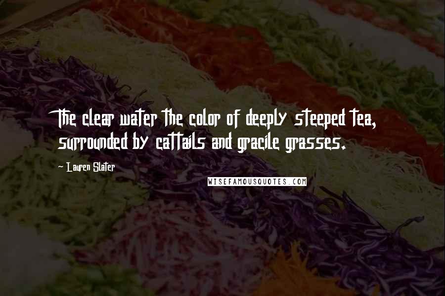 Lauren Slater Quotes: The clear water the color of deeply steeped tea, surrounded by cattails and gracile grasses.