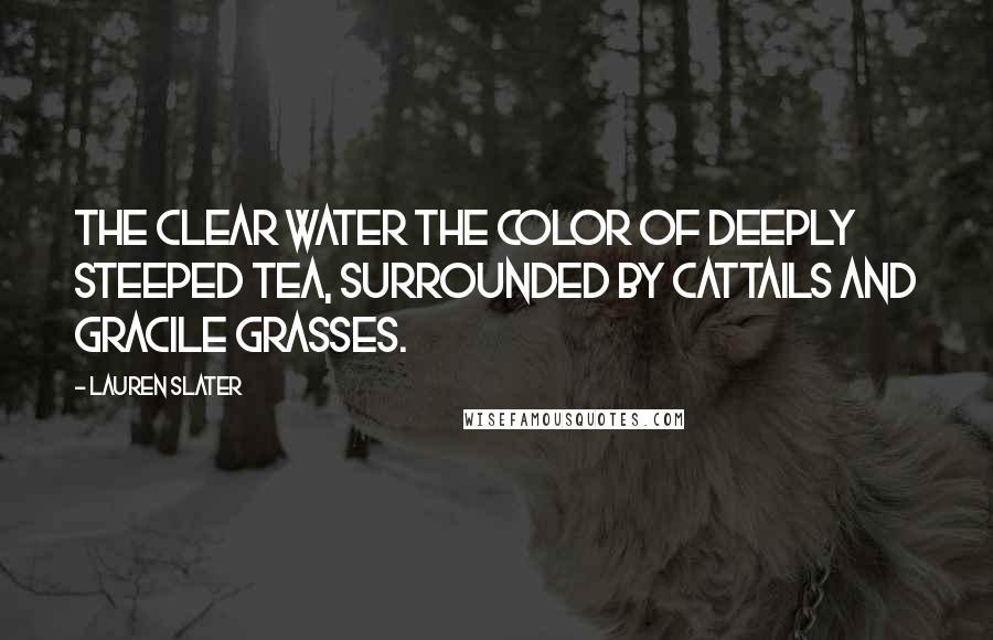 Lauren Slater Quotes: The clear water the color of deeply steeped tea, surrounded by cattails and gracile grasses.