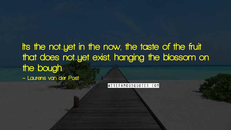 Laurens Van Der Post Quotes: It's the not-yet in the now, the taste of the fruit that does not-yet exist, hanging the blossom on the bough.