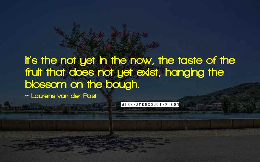 Laurens Van Der Post Quotes: It's the not-yet in the now, the taste of the fruit that does not-yet exist, hanging the blossom on the bough.