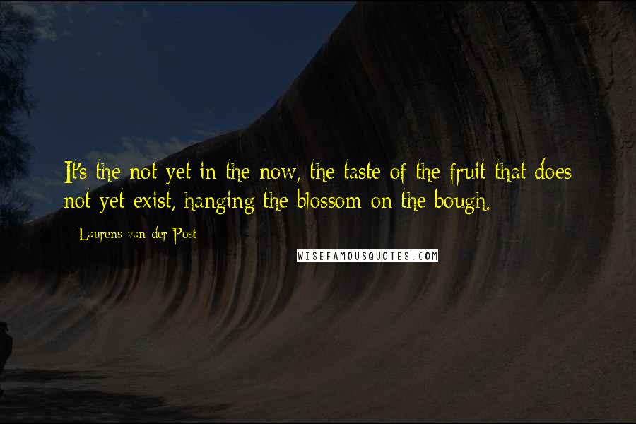 Laurens Van Der Post Quotes: It's the not-yet in the now, the taste of the fruit that does not-yet exist, hanging the blossom on the bough.