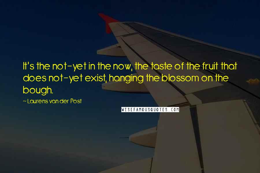 Laurens Van Der Post Quotes: It's the not-yet in the now, the taste of the fruit that does not-yet exist, hanging the blossom on the bough.