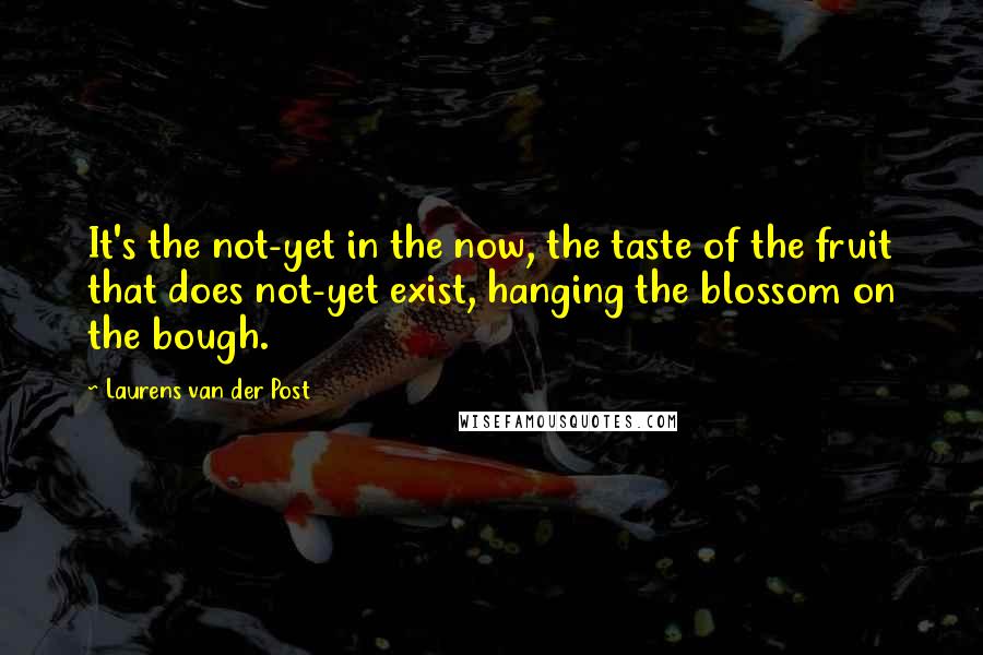 Laurens Van Der Post Quotes: It's the not-yet in the now, the taste of the fruit that does not-yet exist, hanging the blossom on the bough.
