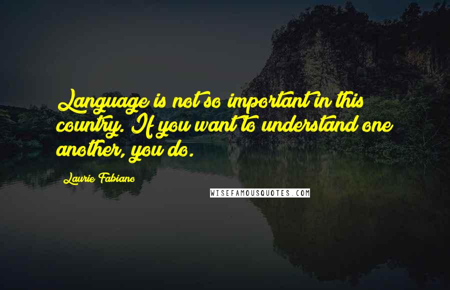 Laurie Fabiano Quotes: Language is not so important in this country. If you want to understand one another, you do.