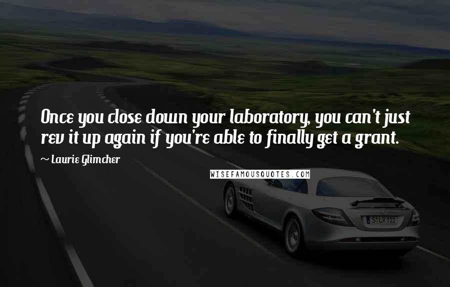 Laurie Glimcher Quotes: Once you close down your laboratory, you can't just rev it up again if you're able to finally get a grant.