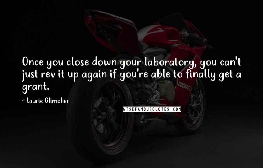 Laurie Glimcher Quotes: Once you close down your laboratory, you can't just rev it up again if you're able to finally get a grant.