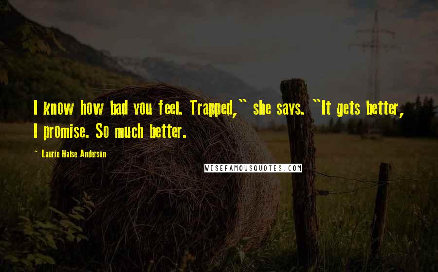 Laurie Halse Anderson Quotes: I know how bad you feel. Trapped," she says. "It gets better, I promise. So much better.