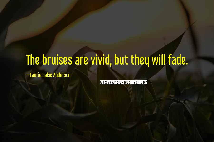 Laurie Halse Anderson Quotes: The bruises are vivid, but they will fade.