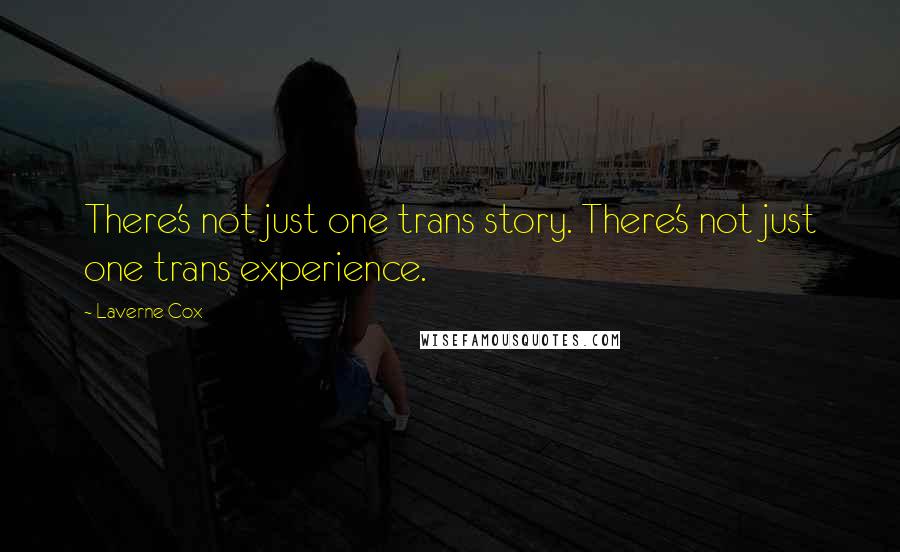 Laverne Cox Quotes: There's not just one trans story. There's not just one trans experience.