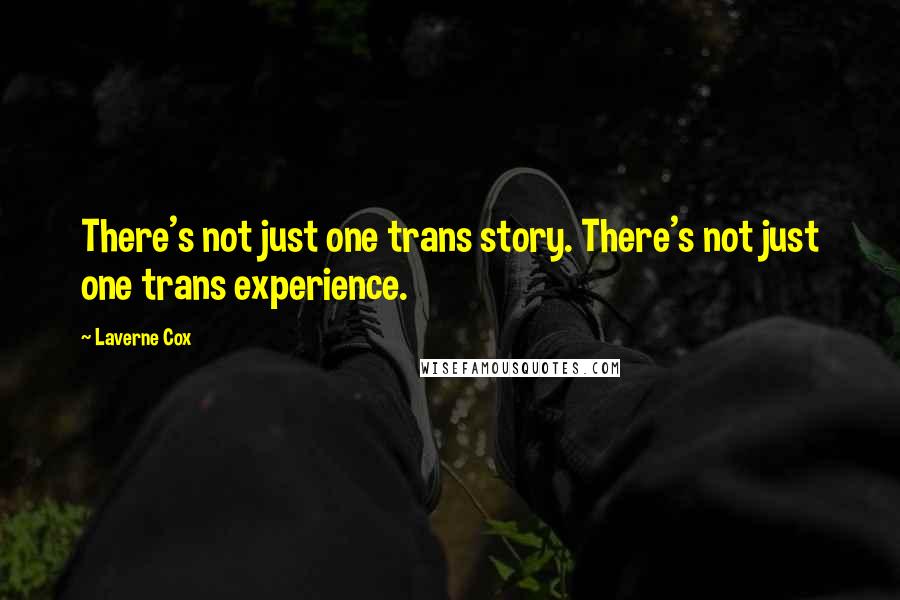 Laverne Cox Quotes: There's not just one trans story. There's not just one trans experience.