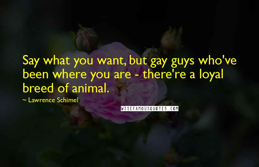 Lawrence Schimel Quotes: Say what you want, but gay guys who've been where you are - there're a loyal breed of animal.