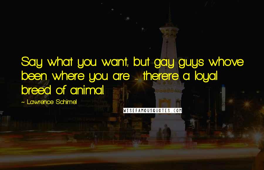 Lawrence Schimel Quotes: Say what you want, but gay guys who've been where you are - there're a loyal breed of animal.