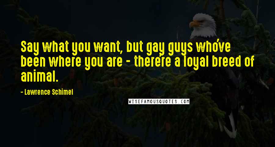 Lawrence Schimel Quotes: Say what you want, but gay guys who've been where you are - there're a loyal breed of animal.