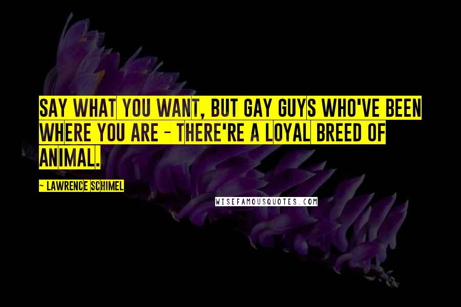 Lawrence Schimel Quotes: Say what you want, but gay guys who've been where you are - there're a loyal breed of animal.