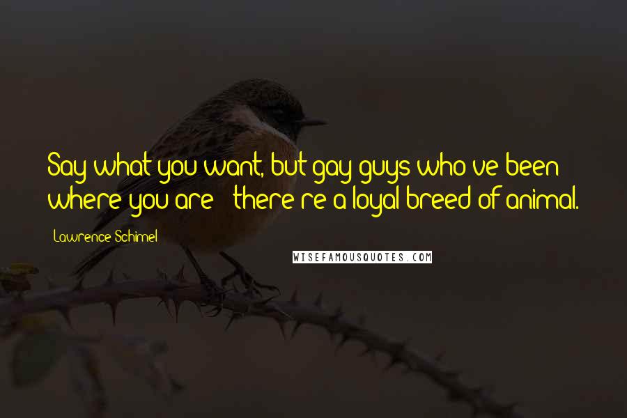 Lawrence Schimel Quotes: Say what you want, but gay guys who've been where you are - there're a loyal breed of animal.