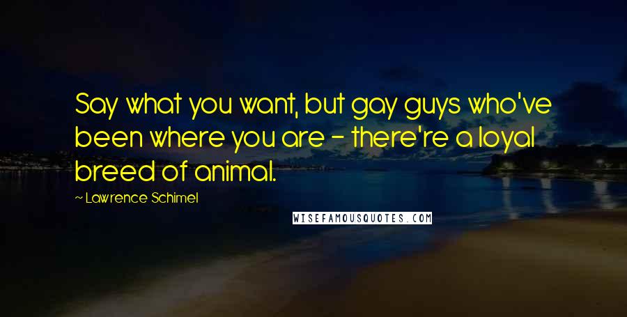 Lawrence Schimel Quotes: Say what you want, but gay guys who've been where you are - there're a loyal breed of animal.