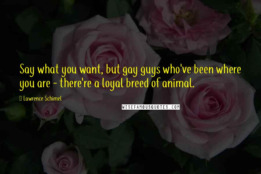 Lawrence Schimel Quotes: Say what you want, but gay guys who've been where you are - there're a loyal breed of animal.