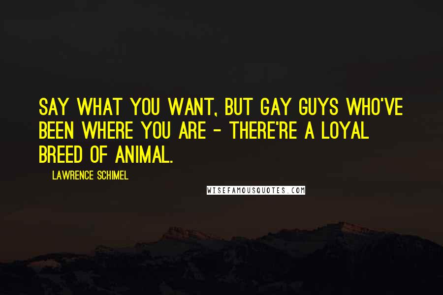 Lawrence Schimel Quotes: Say what you want, but gay guys who've been where you are - there're a loyal breed of animal.