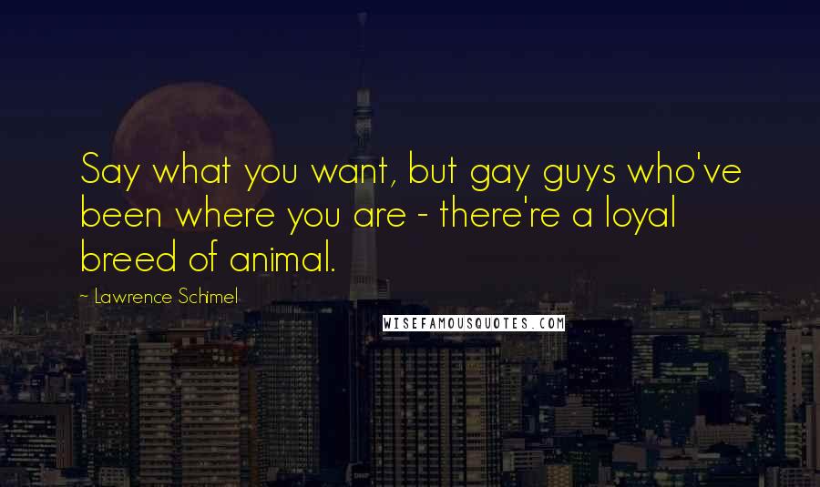 Lawrence Schimel Quotes: Say what you want, but gay guys who've been where you are - there're a loyal breed of animal.