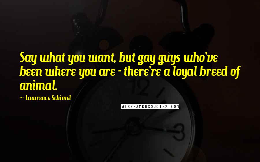 Lawrence Schimel Quotes: Say what you want, but gay guys who've been where you are - there're a loyal breed of animal.