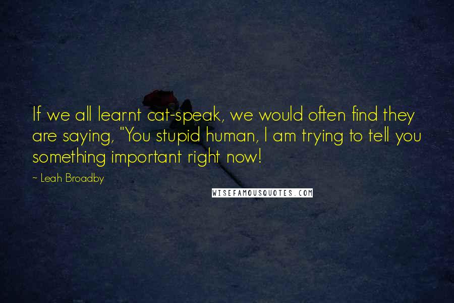 Leah Broadby Quotes: If we all learnt cat-speak, we would often find they are saying, "You stupid human, I am trying to tell you something important right now!