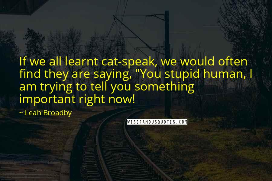 Leah Broadby Quotes: If we all learnt cat-speak, we would often find they are saying, "You stupid human, I am trying to tell you something important right now!