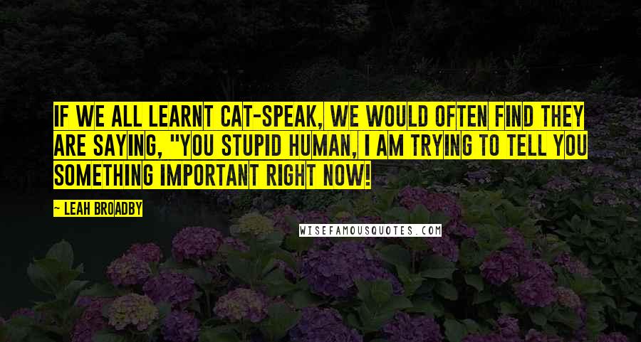 Leah Broadby Quotes: If we all learnt cat-speak, we would often find they are saying, "You stupid human, I am trying to tell you something important right now!