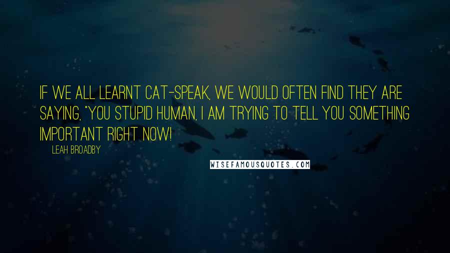 Leah Broadby Quotes: If we all learnt cat-speak, we would often find they are saying, "You stupid human, I am trying to tell you something important right now!