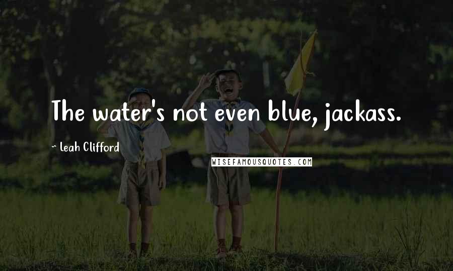 Leah Clifford Quotes: The water's not even blue, jackass.