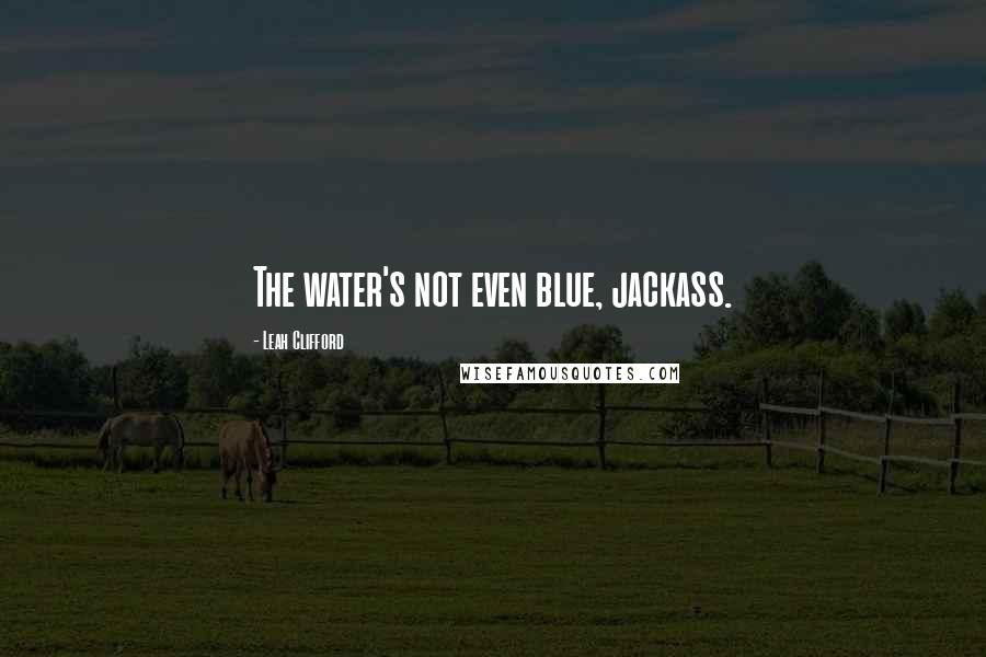 Leah Clifford Quotes: The water's not even blue, jackass.
