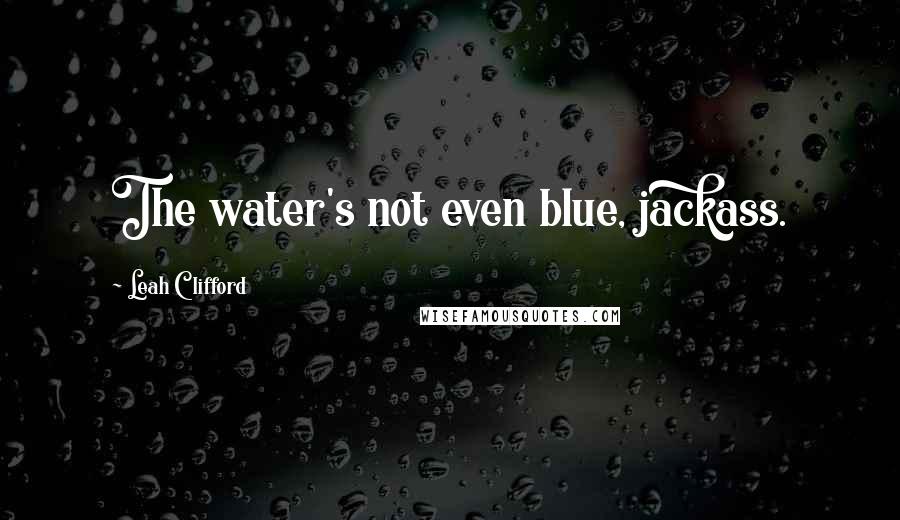 Leah Clifford Quotes: The water's not even blue, jackass.