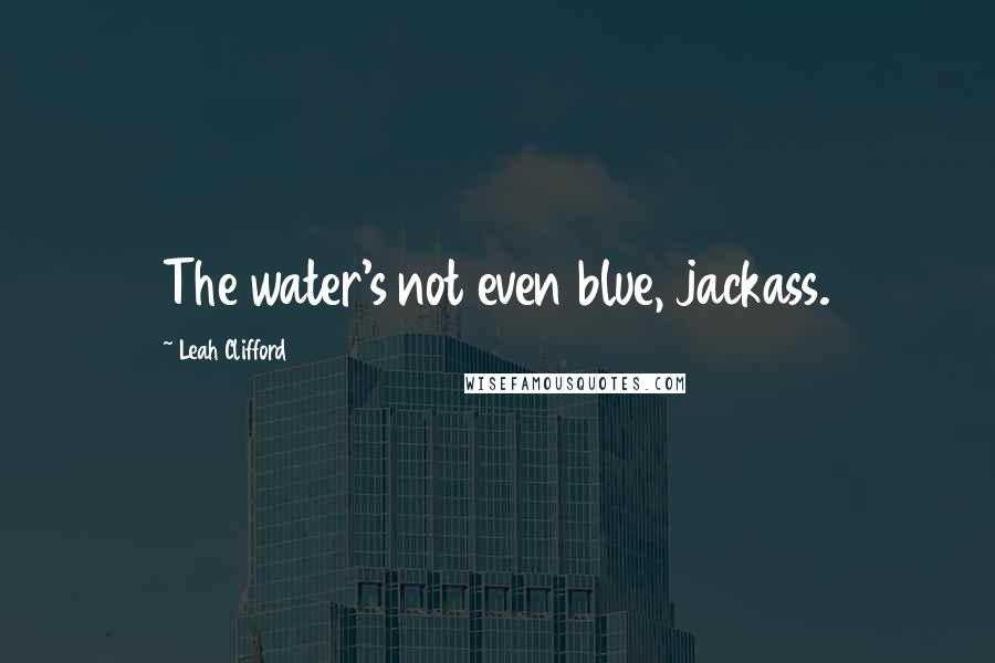 Leah Clifford Quotes: The water's not even blue, jackass.