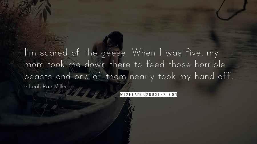 Leah Rae Miller Quotes: I'm scared of the geese. When I was five, my mom took me down there to feed those horrible beasts and one of them nearly took my hand off.