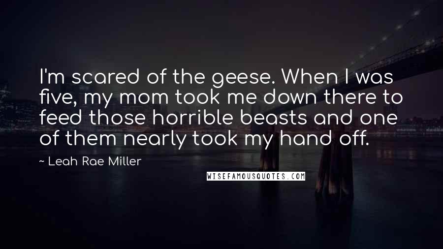 Leah Rae Miller Quotes: I'm scared of the geese. When I was five, my mom took me down there to feed those horrible beasts and one of them nearly took my hand off.