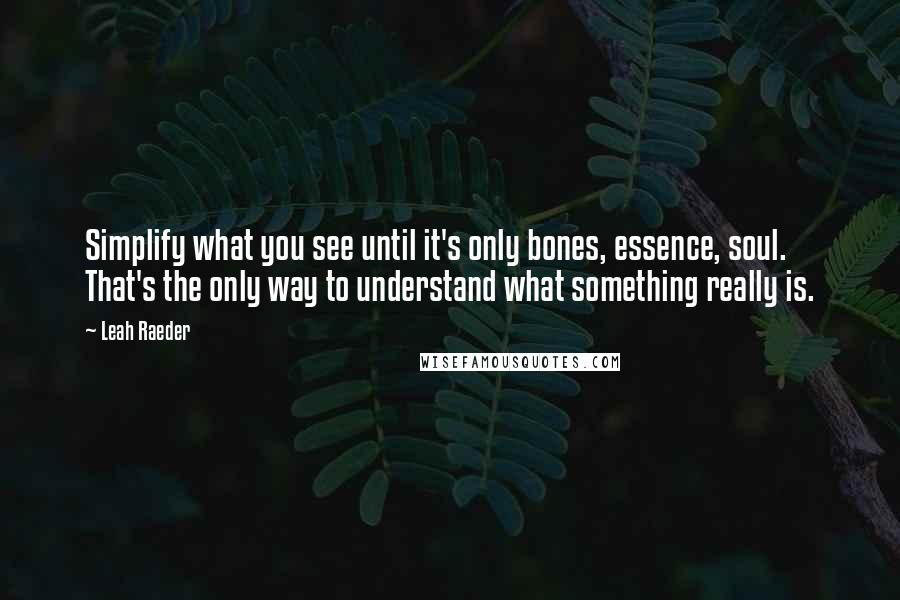 Leah Raeder Quotes: Simplify what you see until it's only bones, essence, soul. That's the only way to understand what something really is.